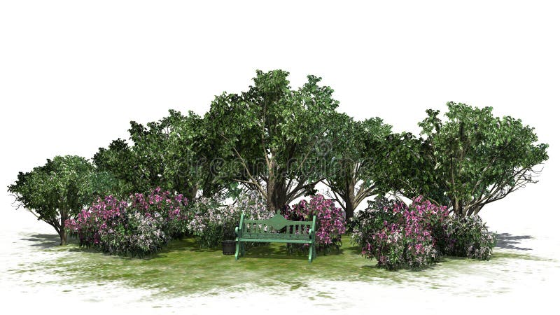 Small park with bushes and trees on white background