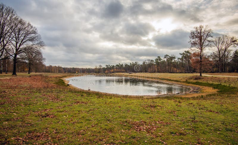 Small partially dried fen in autumn season stock photo Small partially dried fen in autumn season stock photo