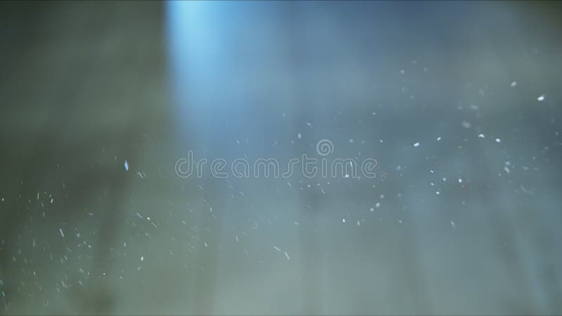 Small airborne particles moving around in the light royalty free stock image