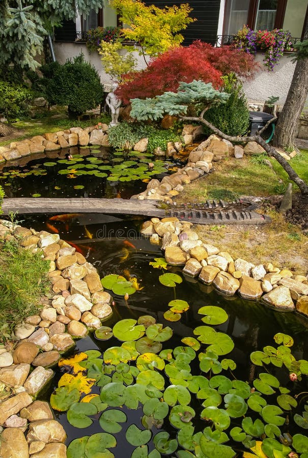 Small picturesque garden with a pond, water lilies and stones