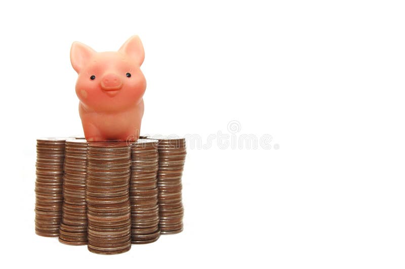 The small pig protects your money