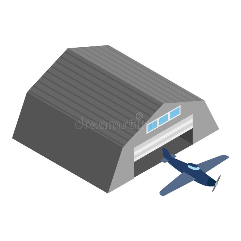Small plane icon, isometric style vector illustration