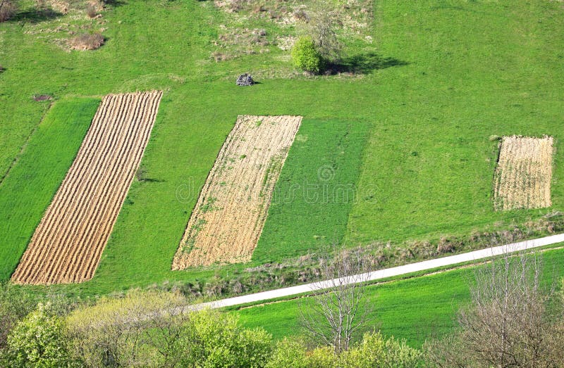 Small plowed fields