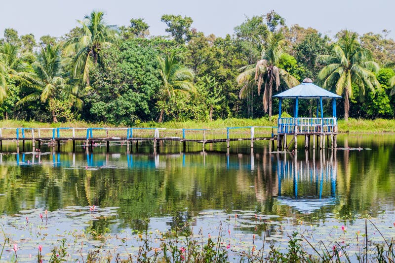 What It's Like To Live In The Wilderness In Sundarban. 3 Sundarban Tourism