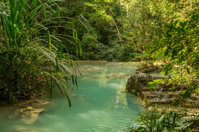 Small pool in jungle stock image. Image of national, bush - 30403311