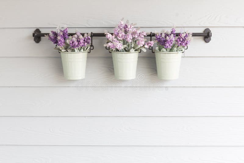 Small pot flower on board wooden wall. royalty free stock images Small pot flower on board wooden wall. royalty free stock images