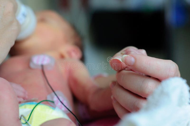 Piccolo bambino prematuro holding Mamme mano in ICU.