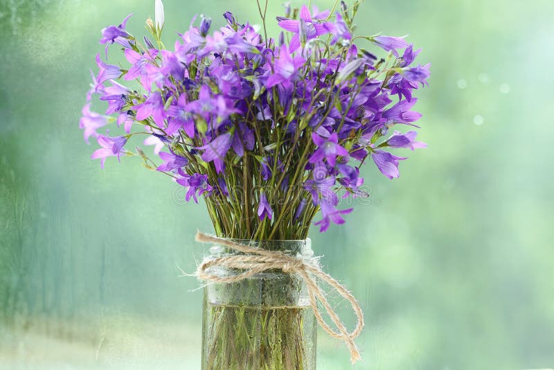 Small Purple Flowers Bouquet Stock Photo Image of blossom, bright
