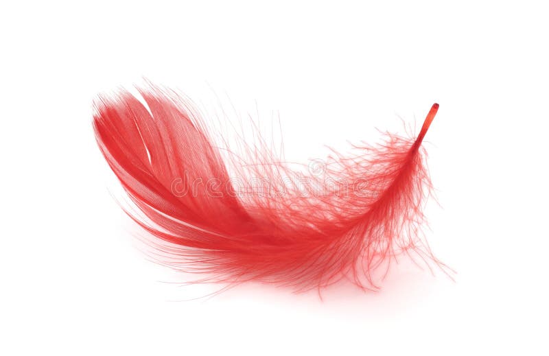 114,424 Red Feathers Stock Photos - Free & Royalty-Free Stock Photos from  Dreamstime