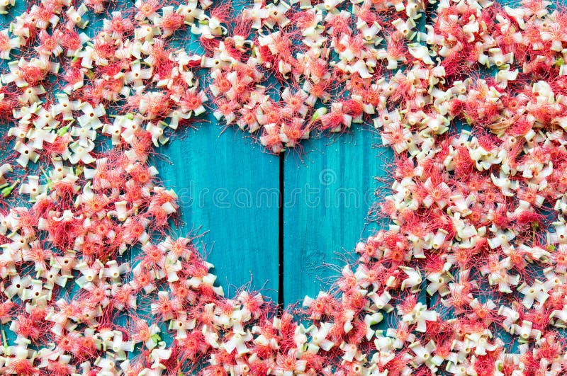 Small red flower Falling on a green stick and heart stock image