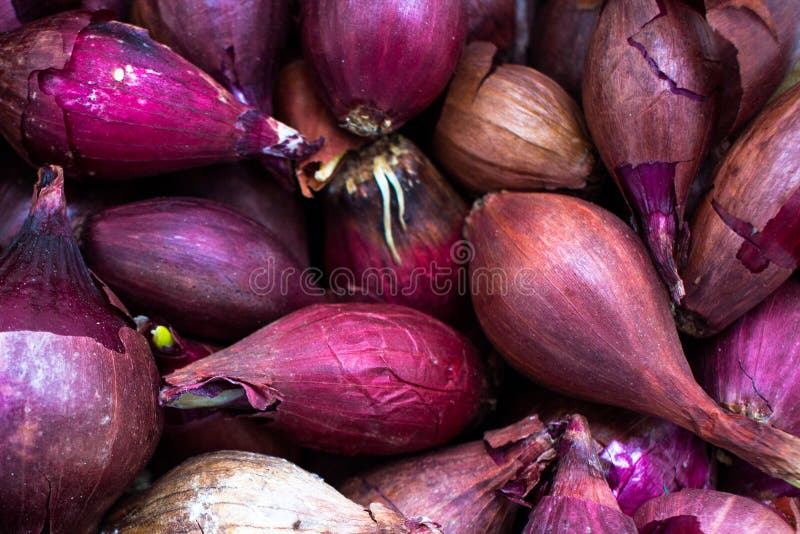 Shallots Asian Red Onions Stock Photo 1014956206