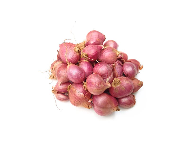 Small Red Onions Shallots Stock Photo 1796207