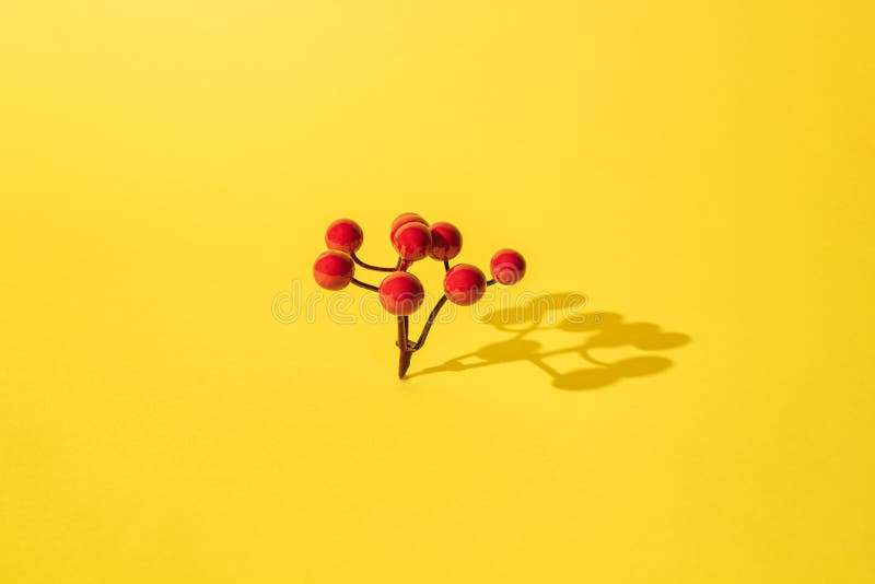Small Red Plastic Balls on a Brown Plastic Branches Stock Image Image