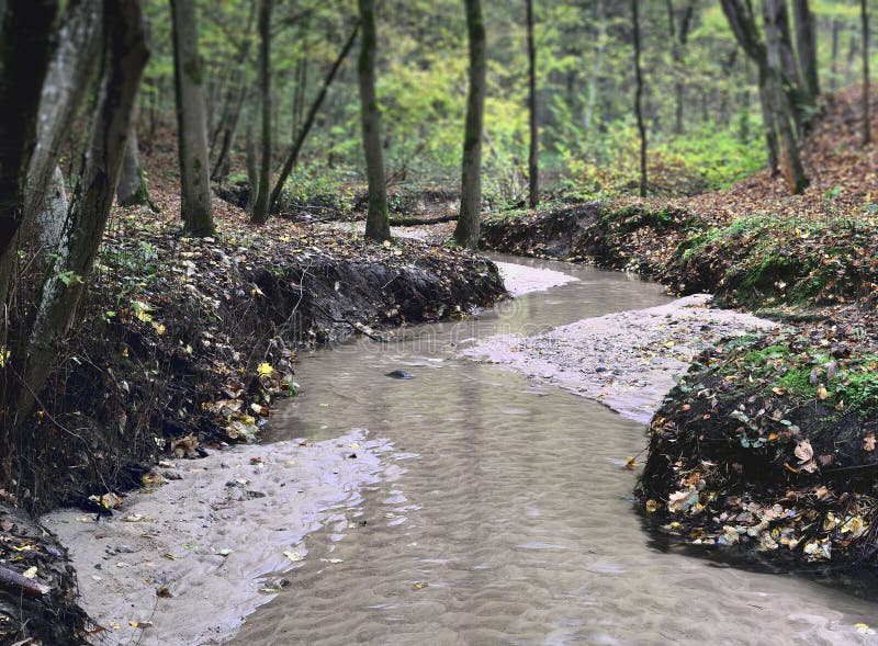 Small river at autumn forest