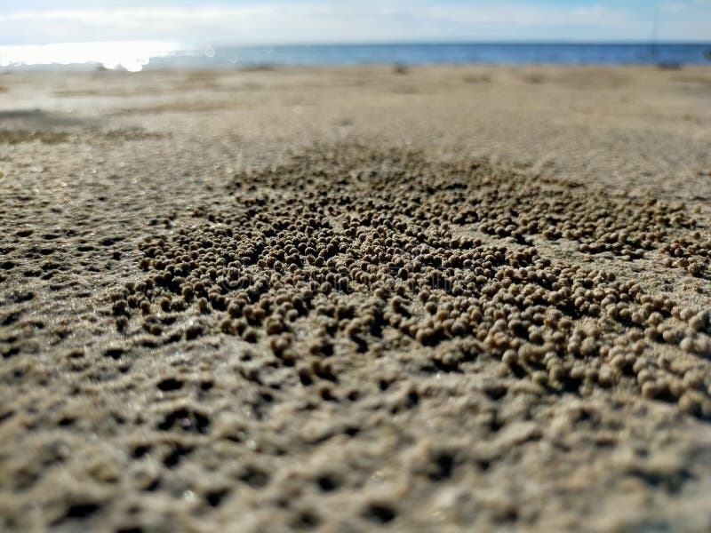 Small rounded sand stock photo Image of shore horizon 241823466 Small rounded sand stock photo Image of shore horizon 241823466