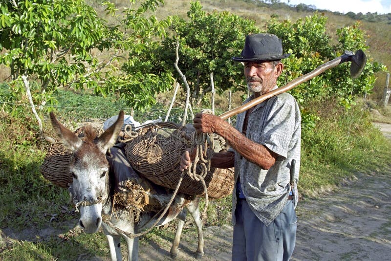 Small scale farmer on the road with laden donkey