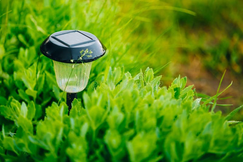 Small Solar Garden Light, Lantern in Flower Bed Stock Photo Image of