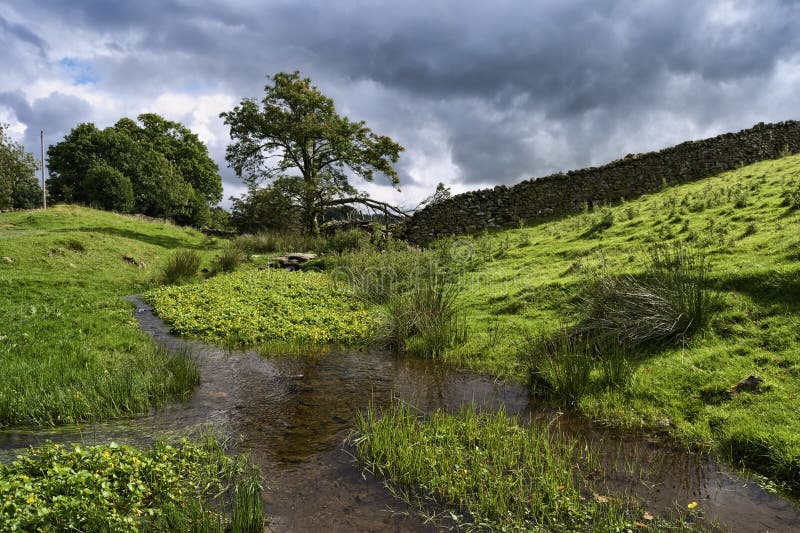 Small stream in the English Lake District