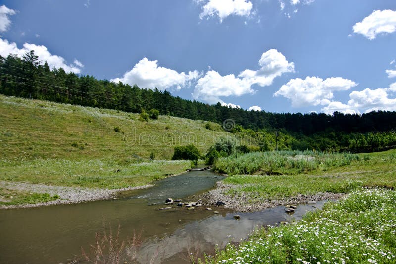 Small stream stock photo. Image of meadow, stones, river 49410928