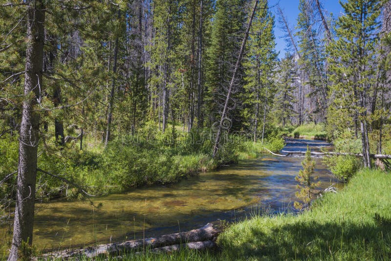 Small stream in Idaho mountains