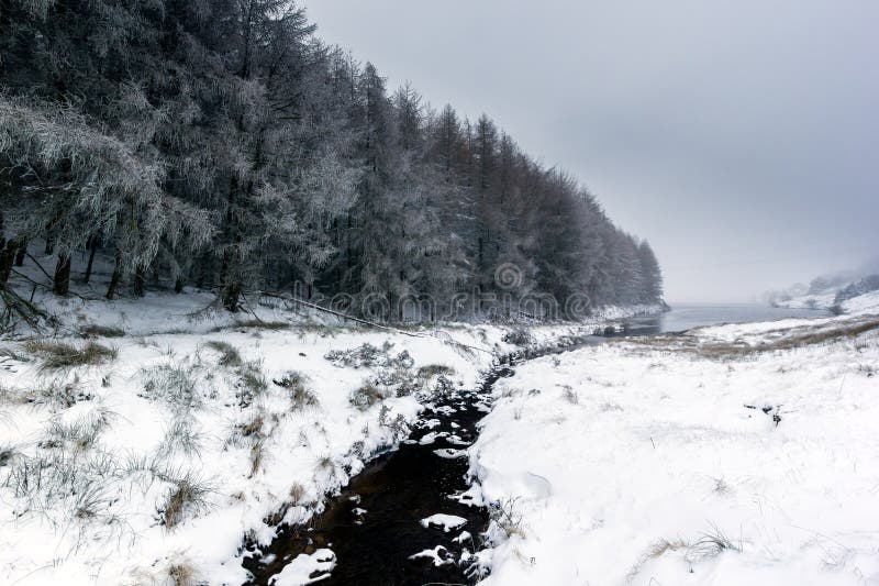 Small stream running through a snow capped landscape