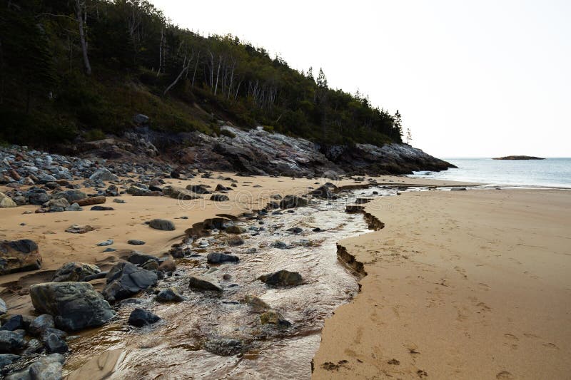 Small stream running towards the sea on Sand Beach, Acadia National Park, Mount Desert Island, Maine, USA