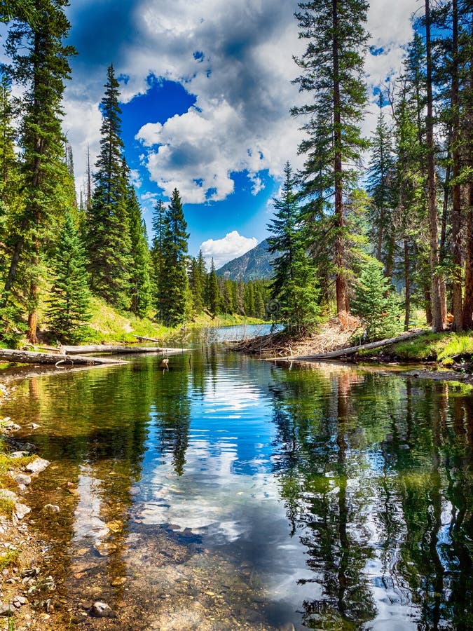 Small Stream in Summit County, Colorado