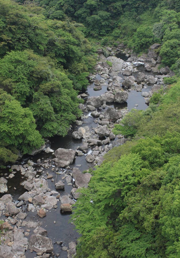 A small stream through woods