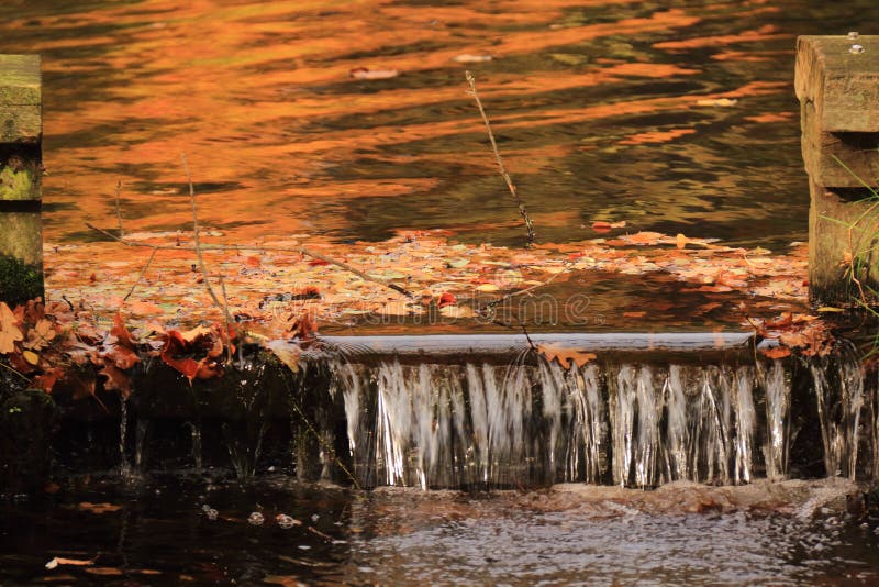 Fall autumn leaves in small water dam stock images Fall autumn leaves in small water dam stock images