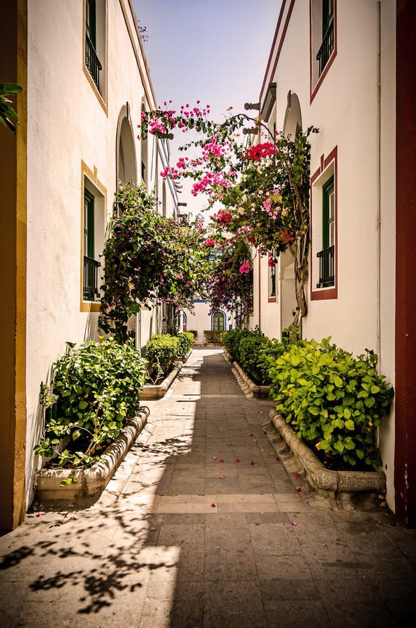 Small Street with White Houses and Colorful Flowers. Puerto De Mogan ...