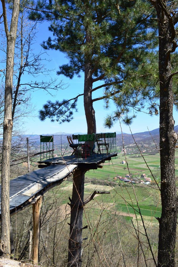 Small terrace on a tree royalty free stock photography