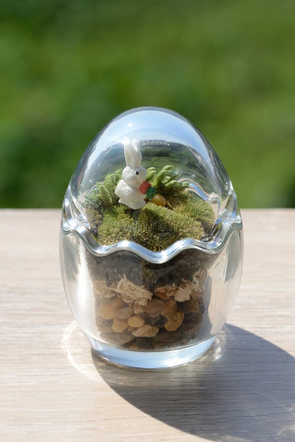 Small Terrarium in Egg Glass. Stock Image Image of rabbit, decorative