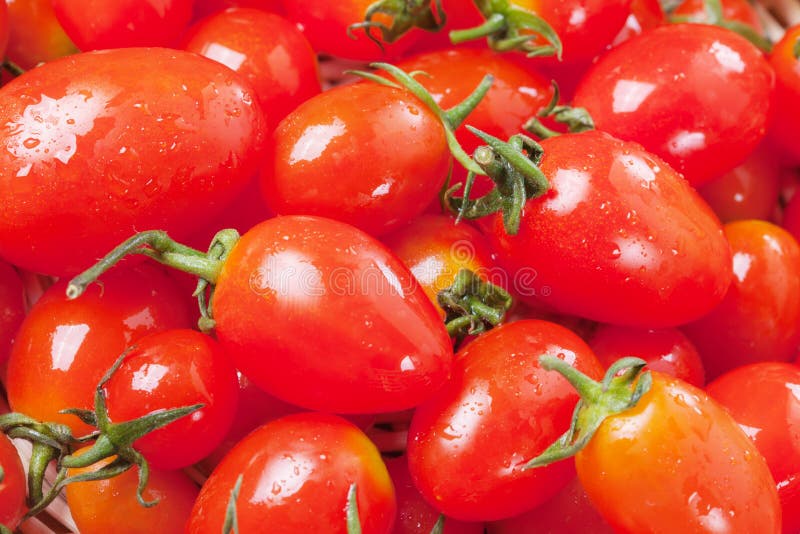 Small Tomatoes Pile Close Up Stock Photo Image of tomato, background