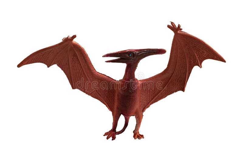 Pterodactyl Or Pteranodon Flying Over The Ocean Stock Photo, Picture and  Royalty Free Image. Image 9183984.