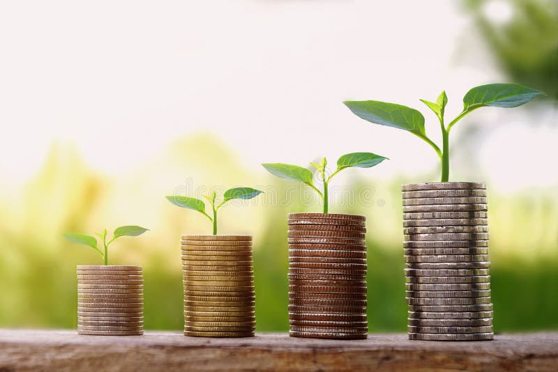 Small tree growing step on coins. concept finance stock photos