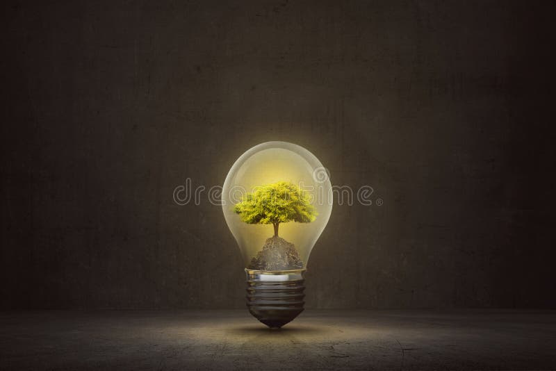 Small Tree Inside Light Bulb On The Dark Room Stock Image Image of
