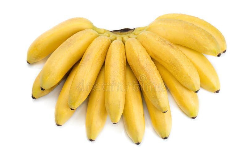 Small tropical banana stock photo. Image of naner, colors - 42038266