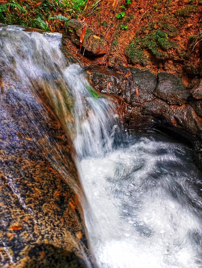 Small Tropical Waterfall Cascading Over Mossy Rocks royalty free stock photo