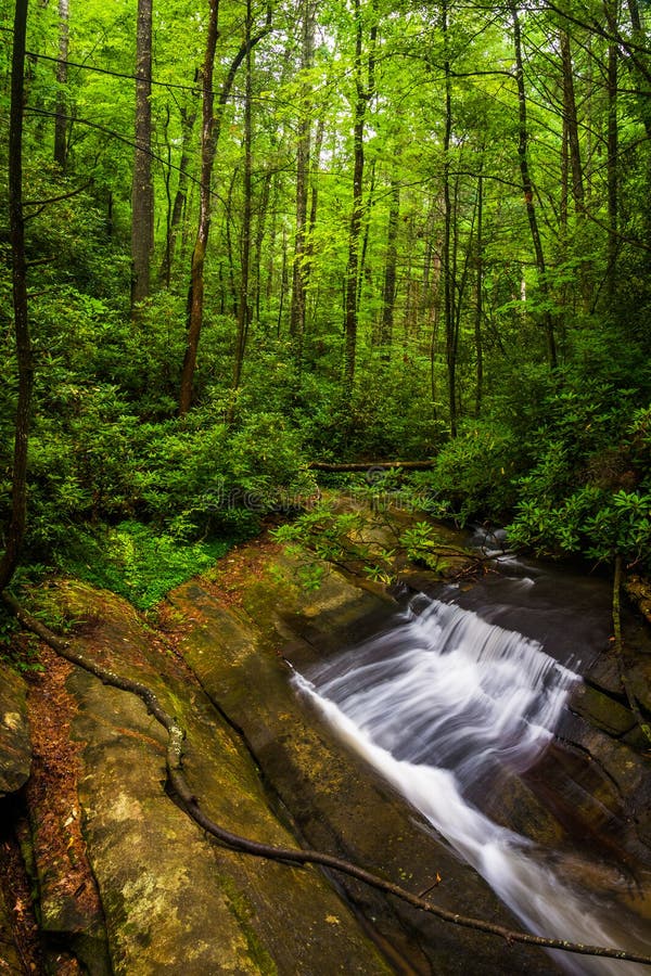 Small waterfall on Carrick Creek, at Table Rock State Park, South Carolina.