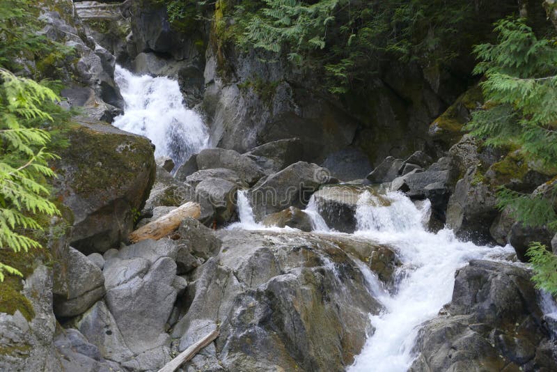 Small Waterfall Cascade in Rocky Stream as it rushes through the Forest