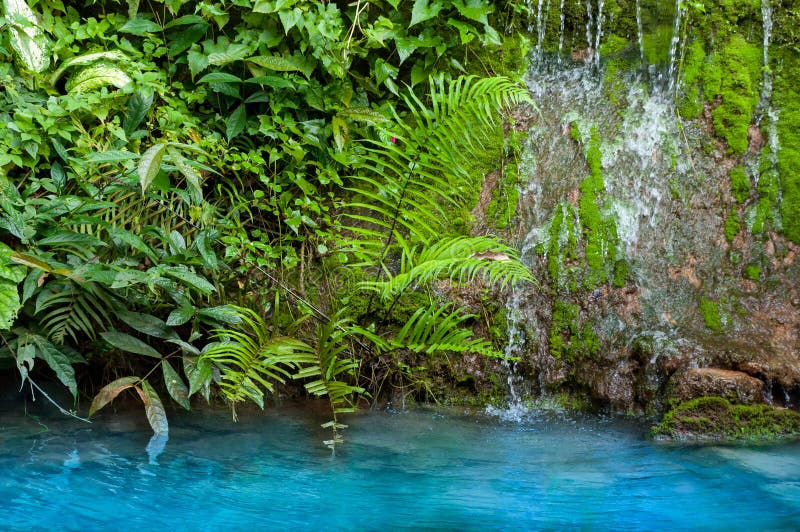 Small waterfall and green moss with different plants and blue water royalty free stock image