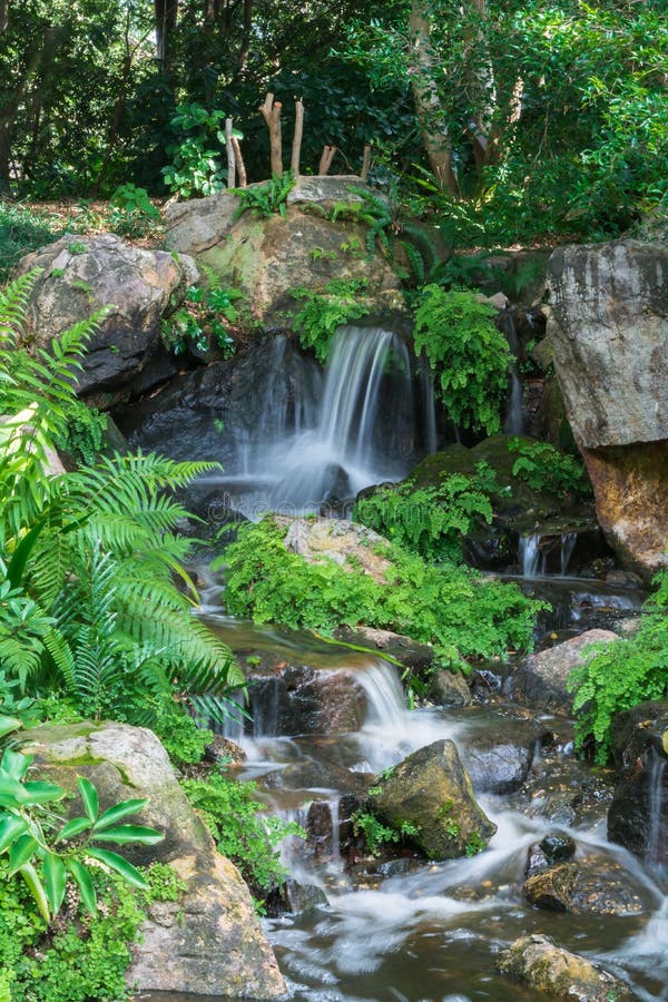 The small waterfall runs and hitting rocks with plants and ferns