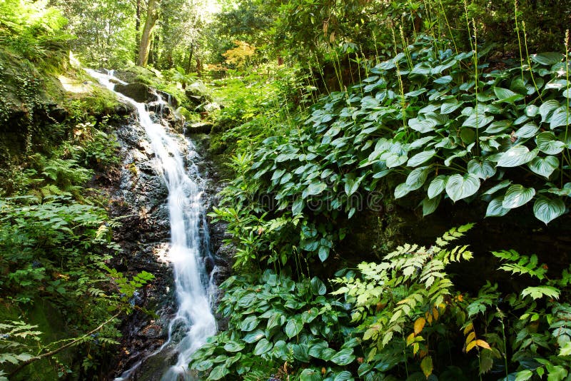 Small waterfall in the woods