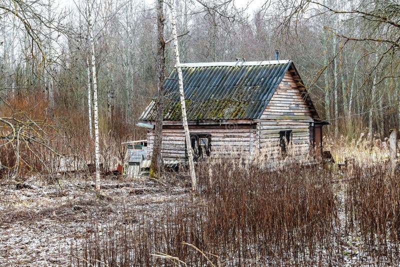 Russia, Leningrad region, December 2020. An old bathhouse among the trees. royalty free stock photography
