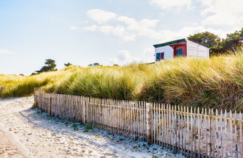 A wooden beach cottage hidden by wild grasses in front of the sea on a sunny summer morning