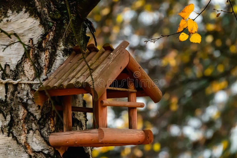 Malá drevená vtáčia búdka v brezovej aleji
