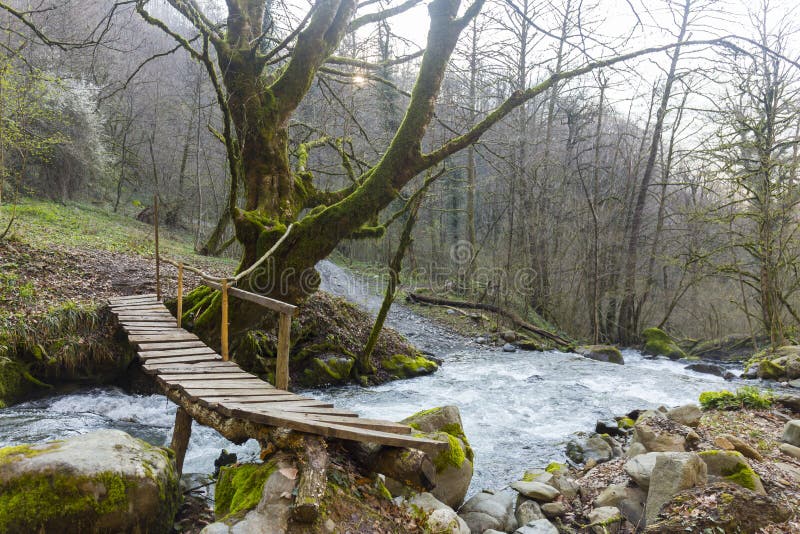 Small Wooden Bridge Over The Mountain Rive Stock Image Image Of