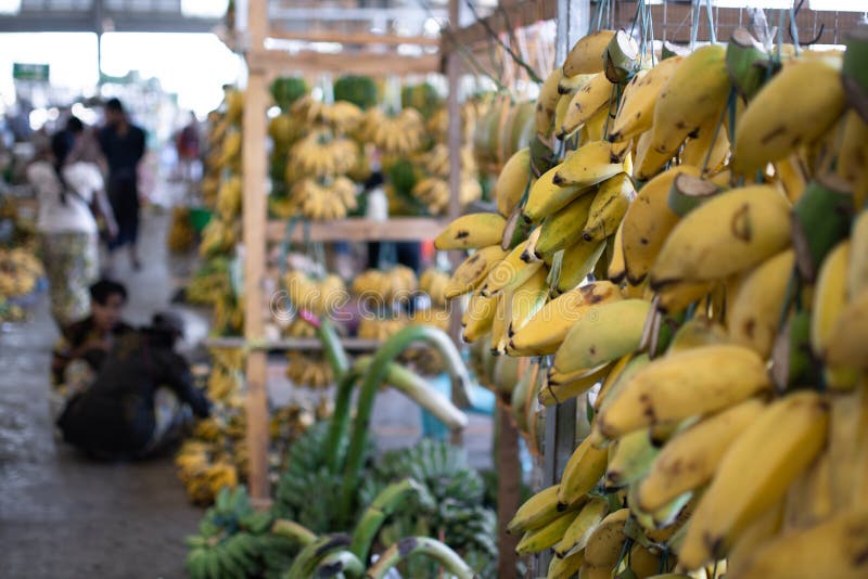 Small Yellow Bananas Being Sold At A Local Market Editorial Stock Photo