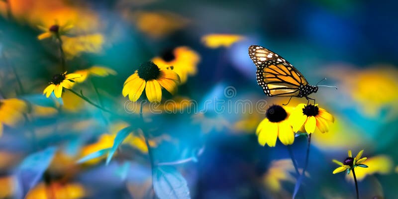 Small yellow bright summer flowers and Nonarch butterfly on a background of blue and green foliage in a fairy garden.