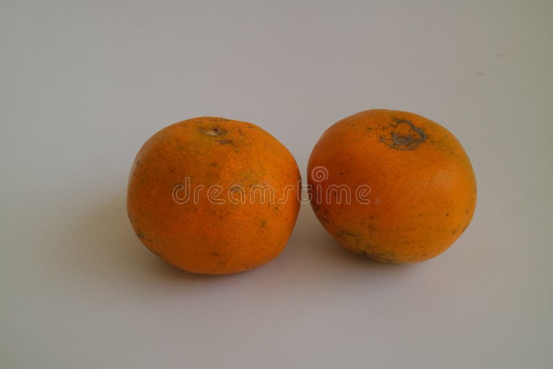 Small Yellow Color of Fresh Orange Fruit Stock Photo - Image of closeup, detail: 228432748